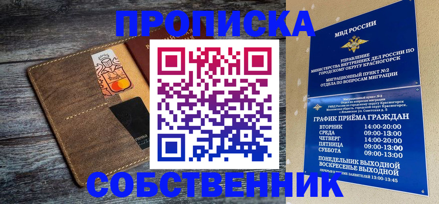 временная регистрация надежно в Могочи